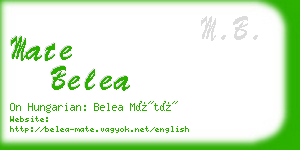 mate belea business card